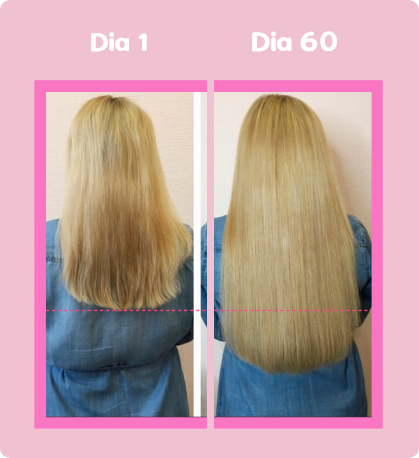 Grupo 639
